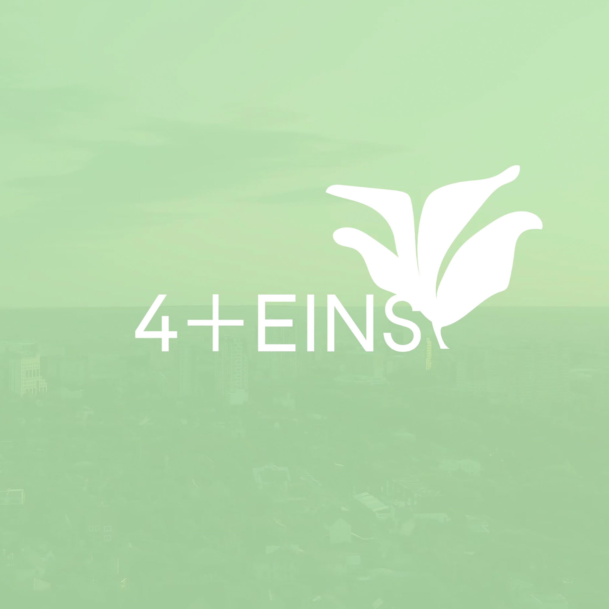 4+EINS